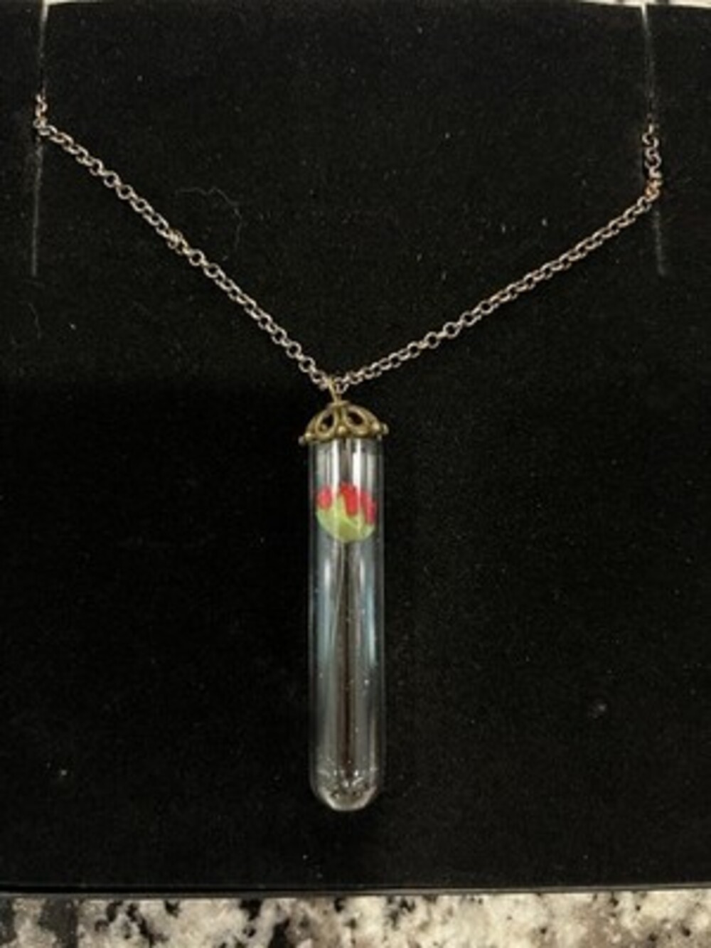 Brass-tone Red Rose in Glass Tube Beauty & the Beast Pendant Necklace
